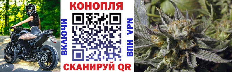 Купить закладки  Среднеуральск  Бошки Шишки тримм 